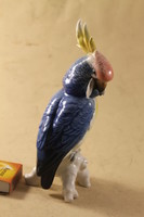 Ens porcelán papagáj vagy kakadu 248 