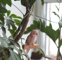 Vintage porcelán papagáj - rózsaszín kanári ülőrúdon - kalitkába