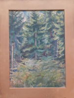 R. Bauer Erzsébet: Fenyőerdő (akvarell, 1947) természet, fák, tájkép, zöld
