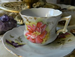 19th century Imperial Karlsbad Austrian-Art Nouveau mocha cup and saucer, set, collectors