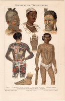 Tetoválás (2), színes nyomat 1896, német nyelvű, eredeti, litográfia, hagyományos, Japán, tattoo