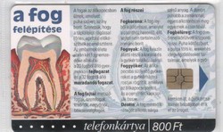 Magyar telefonkártya 0559  2002 Puska Biológia 4    GEM 7     50.000 darab
