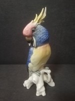 Ens Volkstedt Papagáj porcelán Gyűjtői Ritka