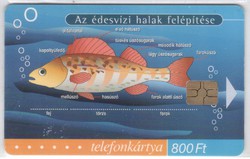 Magyar telefonkártya 0550  2001 Puska Biológia  3    GEM 7     28.200 darab   