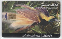 Magyar telefonkártya 0629  1999 Paradicsmmadár  GEM 3    40.000  darab 