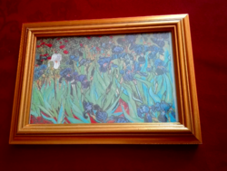 Van Gogh Íriszek nyomat, keretezve, üvegezve