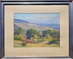 Hungarian painter 1937 / landscape discounted