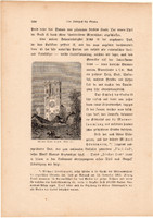 Az új templom Fóton, szövegközi fametszet 1881, eredeti, 5 x 8 cm, kis méret, Duna, Fót, szentegyház