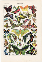 Pillangók (2), színes nyomat 1923, francia, 19 x 29 cm, lexikon, eredeti, lepke, pillangó, papillon