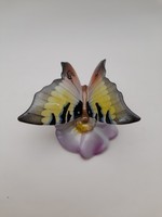 Drasche porcelán pillangó