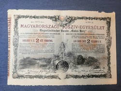 Magyarországi Jószív-Egyesület sorsjegy 2 Ft 1888 (sorszámkövető)