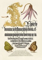 Mira Calligraphiae Monumenta antik kézirat kalligráfia reprint arany iniciálé lepke lila virág rajz