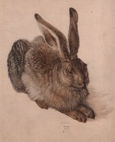 Albrecht Dürer - Fiatal mezei nyúl reprint 24.5 x 19.5 cm