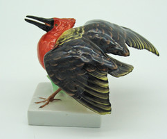 B422 Herendi ritka hosszú csörű madár - gyönyörű hibátlan gyűjteménybe illő darab
