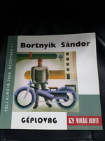 Bortnyik Sándor-Géplovag-Art-deco-Virág Judit.