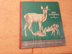 ANYA  ÉS GYERMEKE az állatvilágban, Rudolf Arnold Verlag . Leipzig  Printed in GDR
