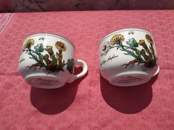 Villeroy &Boch, Botanica, porcelán kávés csésze
