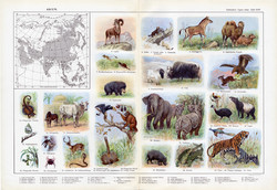 Ázsia állatvilága, színes nyomat 1909, eredeti, 32x47, német nyelvű, állat, elefánt, bivaly, tigris