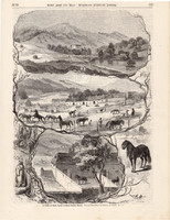 Sándor gróf birtoka, metszet 1870, 22 x 32 cm, Magyarország, Esztergom vármegye, lótenyésztés, ló
