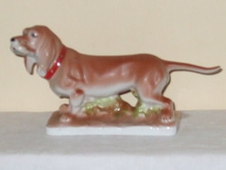 Large basset hound dog