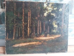 Kopeczky Raoul: Erdei út (olaj-vászon 40x50 cm) természeti tájkép, XX. század