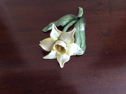 Herendi porcelán virág - nárcisz
