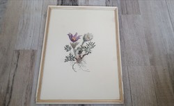 Framed art print, anemone