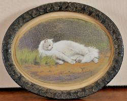 Rainerné Istvánffy Gabriella(1875-1964) pihenő macska