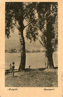 *C" - 047 Futott magyarországi képeslapok  Alsógöd - Duna part  (eredeti 60 filléres)