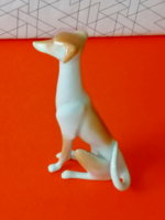 Kőbányai Art Style Dog
