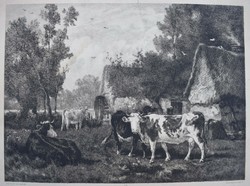 Émile van Marcke 1874 antik metszet " A malom " rézkarc