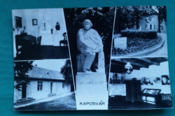 Kaposvár,Rippl-Rónai múzeum képeslapon 1979,postatiszta