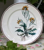 Villeroy & Boch Botanica (?) sorozatból fajansz lapos tányér, Diplotaxis muralis dekorral