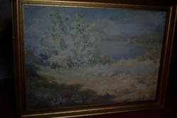 Bruncsák András, Kecskemét 1963 ,, A tó öble, réttel „ c. festménye eladó!
