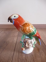 Antik Herendi porcelán papagáj 
