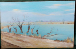 Adamcsák kármá - frozen willows - oil painting