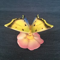 Drasche pillangó