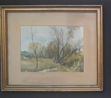 Szalóky Sándor tájkép (akvarell papíron, kerettel 60x50 cm)
