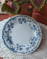 Beautiful rare faience flower cauldon blue albion england english flat plate