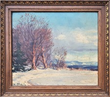 Edvi fit winter / winter landscape