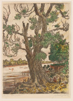 Miklós Farkasházy: old tree on the banks of the Danube