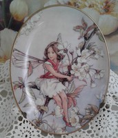 Virágtündér Royal Worcester tányér