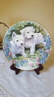 Royal Grafton gyűjtői tányér "West Highland Terrier"