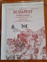 Graphic view of Budapest