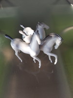Rare collector's picture of Nicholas raven's galloping horses