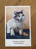 Aranyos cicás képeslap - Szívélyes Üdvözlet Névnapjára