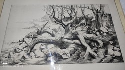 Bojtos Károly - Vízpart - nagy méretű hibátlan jelzett rézkarc