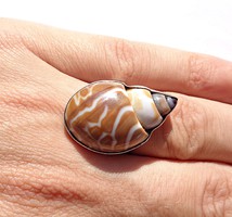 Snail fossil in silver frame, adjustable size ring