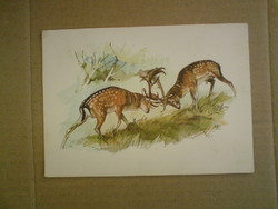 Old animal postcards (fallow deer)