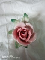 Fairy-tale Beautiful 1945 Pre-ENS Rose